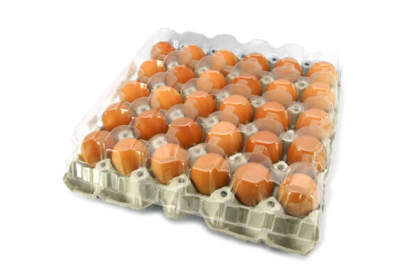 30 Pack Eggs